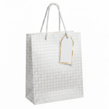 Paper Gift Bag with Rope Handles & Gift Tag | 23×18cm | Elegant Packaging for Birthdays, Weddings, Celebrations & Special Occasions - Al Kabayel Discount CentrePaper Gift Bag with Rope Handles & Gift Tag | 23×18cm | Elegant Packaging for Birthdays, Weddings, Celebrations & Special OccasionsPacking & Wrapping SuppliesAKDCAl Kabayel Discount Centre