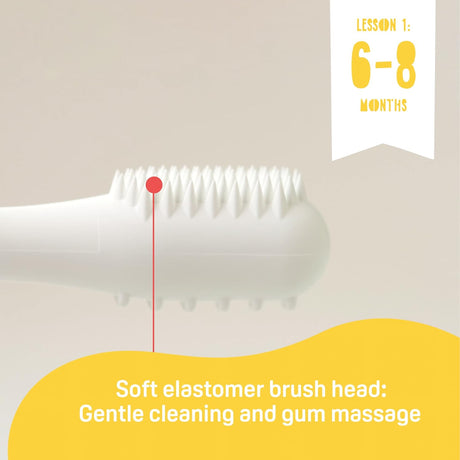 Pigeon Training Tooth Brush Set, Extra Soft Bristles, Soft Grip, Lesson 1, 2, 3, Multi Colour - Al Kabayel Discount CentrePigeon Training Tooth Brush Set, Extra Soft Bristles, Soft Grip, Lesson 1, 2, 3, Multi ColourBaby ProductsPIGEONAl Kabayel Discount Centre