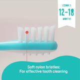 Pigeon Training Tooth Brush Set, Extra Soft Bristles, Soft Grip, Lesson 1, 2, 3, Multi Colour - Al Kabayel Discount CentrePigeon Training Tooth Brush Set, Extra Soft Bristles, Soft Grip, Lesson 1, 2, 3, Multi ColourBaby ProductsPIGEONAl Kabayel Discount Centre