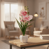 Pink & White Artificial Phalaenopsis Orchid Plant with Chalk Plastic Pot - 35cm - Al Kabayel Discount CentrePink & White Artificial Phalaenopsis Orchid Plant with Chalk Plastic Pot - 35cmArtificial FloraAKDCAl Kabayel Discount Centre