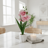 Pink & White Artificial Phalaenopsis Orchid Plant with Chalk Plastic Pot - 35cm - Al Kabayel Discount CentrePink & White Artificial Phalaenopsis Orchid Plant with Chalk Plastic Pot - 35cmArtificial FloraAKDCAl Kabayel Discount Centre