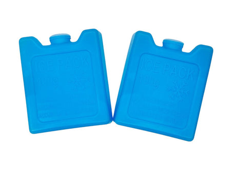 PLASTICFORTE Accumulator Freezer Ice Pack 100g*2pc, Blue - Al Kabayel Discount CentrePLASTICFORTE Accumulator Freezer Ice Pack 100g*2pc, BlueCoolersPLASTICFORTEAl Kabayel Discount Centre