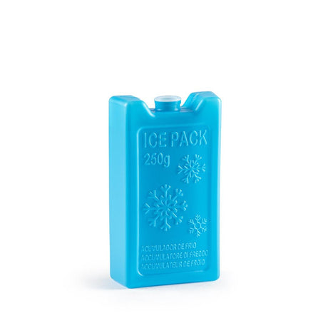 PLASTICFORTE Acumulator Freezer Ice Pack 250g, Blue - Al Kabayel Discount CentrePLASTICFORTE Acumulator Freezer Ice Pack 250g, BlueCoolersPLASTICFORTEAl Kabayel Discount Centre