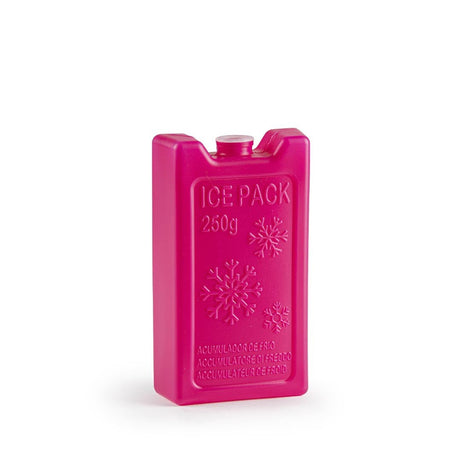 PLASTICFORTE Acumulator Freezer Ice Pack 250g, Pink - Al Kabayel Discount CentrePLASTICFORTE Acumulator Freezer Ice Pack 250g, PinkCoolersPLASTICFORTEAl Kabayel Discount Centre