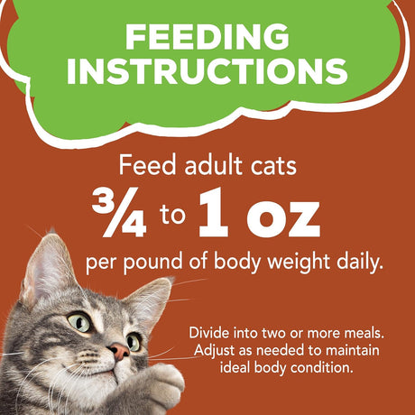 Purina Friskies Mixed Grill Pate Cat Wet Food 156g - Al Kabayel Discount CentrePurina Friskies Mixed Grill Pate Cat Wet Food 156gPet SuppliesPURINA FRISKIESAl Kabayel Discount Centre