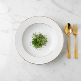 Queens White Ceramic Soup Plate with Golden Rim | 8 Inch | Premium Tableware - Al Kabayel Discount CentreQueens White Ceramic Soup Plate with Golden Rim | 8 Inch | Premium TablewarePlatesQUEENSAl Kabayel Discount Centre