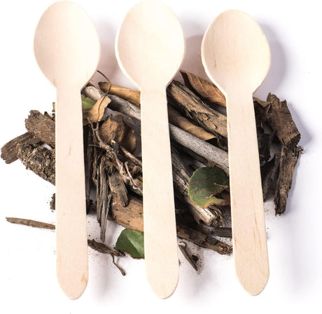 ROSY MOMENT 50pcs Disposable Wooden Spoon 16cm - Al Kabayel Discount CentreROSY MOMENT 50pcs Disposable Wooden Spoon 16cmCookware AccessoriesROSY MOMENTAl Kabayel Discount Centre