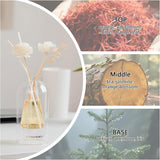 SMELLOLOGY Tranquil Flower Flowers Home Diffuser - Autumn Vibes 120ml - Al Kabayel Discount CentreSMELLOLOGY Tranquil Flower Flowers Home Diffuser - Autumn Vibes 120mlHome FragrancesSMELLOLOGYAl Kabayel Discount Centre
