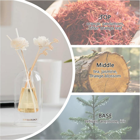 SMELLOLOGY Tranquil Flower Flowers Home Diffuser - Autumn Vibes 120ml - Al Kabayel Discount CentreSMELLOLOGY Tranquil Flower Flowers Home Diffuser - Autumn Vibes 120mlHome FragrancesSMELLOLOGYAl Kabayel Discount Centre