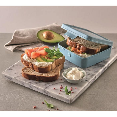 SNIPS Square Sandwich Box 500ml, Grey - Al Kabayel Discount CentreSNIPS Square Sandwich Box 500ml, GreyFood ContainersSNIPSAl Kabayel Discount Centre