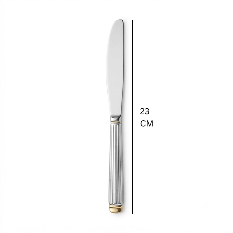 Stainless Steel Dinner Knife Set of 6 – 23cm Silver & Gold Accent - Al Kabayel Discount CentreStainless Steel Dinner Knife Set of 6 – 23cm Silver & Gold AccentKnife & Knife SetsAKDCAl Kabayel Discount Centre