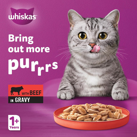 Whiskas Beef in Gravy Can Cat Food, 400g, for 1+ Years Adult Cats, Whiskas Cat Food in a Can, Complete & Balanced Nutrition - Al Kabayel Discount CentreWhiskas Beef in Gravy Can Cat Food, 400g, for 1+ Years Adult Cats, Whiskas Cat Food in a Can, Complete & Balanced NutritionPet SuppliesWHISKASAl Kabayel Discount Centre