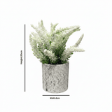 Zeem Artificial Flower Plant with White Chalk Pot - 20×8 cm - White / Yellow / Purple / Burgundy - Al Kabayel Discount CentreZeem Artificial Flower Plant with White Chalk Pot - 20×8 cm - White / Yellow / Purple / BurgundyArtificial FloraZEEMAl Kabayel Discount Centre