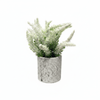 Zeem Artificial Flower Plant with White Chalk Pot - 20×8 cm - White / Yellow / Purple / Burgundy - Al Kabayel Discount CentreZeem Artificial Flower Plant with White Chalk Pot - 20×8 cm - White / Yellow / Purple / BurgundyArtificial FloraZEEMAl Kabayel Discount Centre