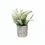 Zeem Artificial Flower Plant with White Chalk Pot - 20×8 cm - White / Yellow / Purple / Burgundy - Al Kabayel Discount CentreZeem Artificial Flower Plant with White Chalk Pot - 20×8 cm - White / Yellow / Purple / BurgundyArtificial FloraZEEMAl Kabayel Discount Centre