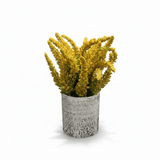 Zeem Artificial Flower Plant with White Chalk Pot - 20×8 cm - White / Yellow / Purple / Burgundy - Al Kabayel Discount CentreZeem Artificial Flower Plant with White Chalk Pot - 20×8 cm - White / Yellow / Purple / BurgundyArtificial FloraZEEMAl Kabayel Discount Centre