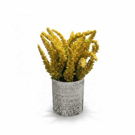 Zeem Artificial Flower Plant with White Chalk Pot - 20×8 cm - White / Yellow / Purple / Burgundy - Al Kabayel Discount CentreZeem Artificial Flower Plant with White Chalk Pot - 20×8 cm - White / Yellow / Purple / BurgundyArtificial FloraZEEMAl Kabayel Discount Centre