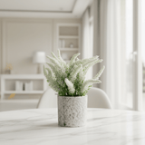 Zeem Artificial Flower Plant with White Chalk Pot - 20×8 cm - White / Yellow / Purple / Burgundy - Al Kabayel Discount CentreZeem Artificial Flower Plant with White Chalk Pot - 20×8 cm - White / Yellow / Purple / BurgundyArtificial FloraZEEMAl Kabayel Discount Centre