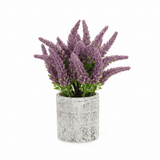 Zeem Artificial Flower Plant with White Chalk Pot - 20×8 cm - White / Yellow / Purple / Burgundy - Al Kabayel Discount CentreZeem Artificial Flower Plant with White Chalk Pot - 20×8 cm - White / Yellow / Purple / BurgundyArtificial FloraZEEMAl Kabayel Discount Centre