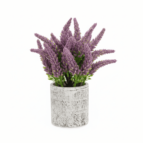 Zeem Artificial Flower Plant with White Chalk Pot - 20×8 cm - White / Yellow / Purple / Burgundy - Al Kabayel Discount CentreZeem Artificial Flower Plant with White Chalk Pot - 20×8 cm - White / Yellow / Purple / BurgundyArtificial FloraZEEMAl Kabayel Discount Centre