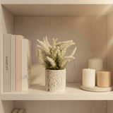 Zeem Artificial Flower Plant with White Chalk Pot - 20×8 cm - White / Yellow / Purple / Burgundy - Al Kabayel Discount CentreZeem Artificial Flower Plant with White Chalk Pot - 20×8 cm - White / Yellow / Purple / BurgundyArtificial FloraZEEMAl Kabayel Discount Centre