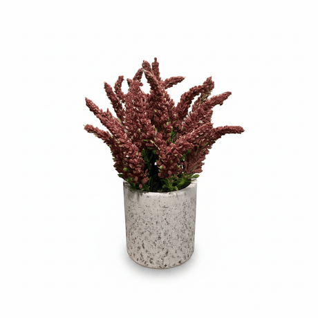Zeem Artificial Flower Plant with White Chalk Pot - 20×8 cm - White / Yellow / Purple / Burgundy - Al Kabayel Discount CentreZeem Artificial Flower Plant with White Chalk Pot - 20×8 cm - White / Yellow / Purple / BurgundyArtificial FloraZEEMAl Kabayel Discount Centre