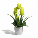 Zeem Artificial Yellow & Green Tulip Flower Arrangement in White Plastic Vase — 33cm - Al Kabayel Discount CentreZeem Artificial Yellow & Green Tulip Flower Arrangement in White Plastic Vase — 33cmArtificial FloraZEEMAl Kabayel Discount Centre