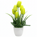 Zeem Artificial Yellow & Green Tulip Flower Arrangement in White Plastic Vase — 33cm - Al Kabayel Discount CentreZeem Artificial Yellow & Green Tulip Flower Arrangement in White Plastic Vase — 33cmArtificial FloraZEEMAl Kabayel Discount Centre