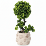 Zeem Ceramic Baige Pot With Polyster Green Plant 27*10 Cm - Al Kabayel Discount CentreZeem Ceramic Baige Pot With Polyster Green Plant 27*10 CmArtificial FloraZEEMAl Kabayel Discount Centre