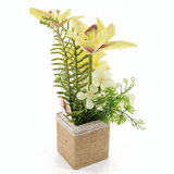 Zeem Decorative Artificial Yellow Flower Plant with Brown Cardboard Pot – 30 × 8 cm Bright Indoor Home & Office Décor - Al Kabayel Discount CentreZeem Decorative Artificial Yellow Flower Plant with Brown Cardboard Pot – 30 × 8 cm Bright Indoor Home & Office DécorArtificial FloraZEEMAl Kabayel Discount Centre