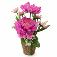 Zeem Neon Pink Artificial Flower Plant | Premium Faux Peony Arrangement in Decorative Chalk Vase - Al Kabayel Discount CentreZeem Neon Pink Artificial Flower Plant | Premium Faux Peony Arrangement in Decorative Chalk VaseArtificial FloraZEEMAl Kabayel Discount Centre
