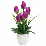 Zeem Purple & Green Artificial Tulip Bouquet in White Plastic Vase | 33cm | Premium Faux Floral Décor - Al Kabayel Discount CentreZeem Purple & Green Artificial Tulip Bouquet in White Plastic Vase | 33cm | Premium Faux Floral DécorArtificial FloraAKDCAl Kabayel Discount Centre