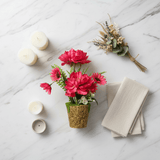 Zeem Red Artificial Flower Plant | Elegant Chalk Pot | 30cm | Premium Silk Blooms - Al Kabayel Discount CentreZeem Red Artificial Flower Plant | Elegant Chalk Pot | 30cm | Premium Silk BloomsArtificial FloraZEEMAl Kabayel Discount Centre