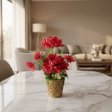 Zeem Red Artificial Flower Plant | Elegant Chalk Pot | 30cm | Premium Silk Blooms - Al Kabayel Discount CentreZeem Red Artificial Flower Plant | Elegant Chalk Pot | 30cm | Premium Silk BloomsArtificial FloraZEEMAl Kabayel Discount Centre