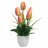 Zeem Red & Green Artificial Tulip Bouquet with White Plastic Vase | 33cm - Al Kabayel Discount CentreZeem Red & Green Artificial Tulip Bouquet with White Plastic Vase | 33cmArtificial FloraZEEMAl Kabayel Discount Centre