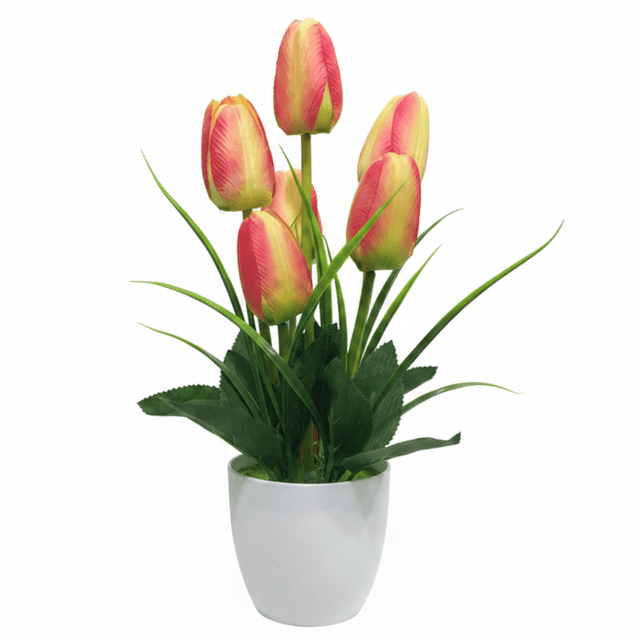 Zeem Red & Green Artificial Tulip Bouquet with White Plastic Vase | 33cm - Al Kabayel Discount CentreZeem Red & Green Artificial Tulip Bouquet with White Plastic Vase | 33cmArtificial FloraZEEMAl Kabayel Discount Centre
