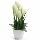 Zeem White & Green Artificial Tulip Bouquet | White Plastic Vase | 33cm - Al Kabayel Discount CentreZeem White & Green Artificial Tulip Bouquet | White Plastic Vase | 33cmArtificial FloraZEEMAl Kabayel Discount Centre